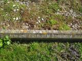 image of grave number 312841